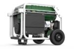 GENERADOR GASOLINA - PROPANO NATURA 3000 GENERGY